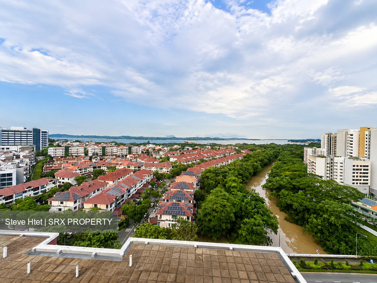 Blk 602 Elias View (Pasir Ris), HDB Executive #562954801